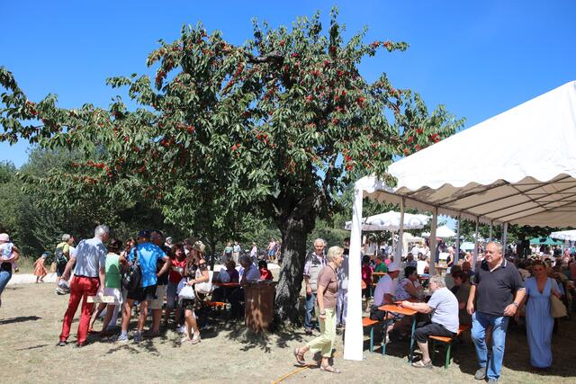 Foto: Andreas Unbehaun