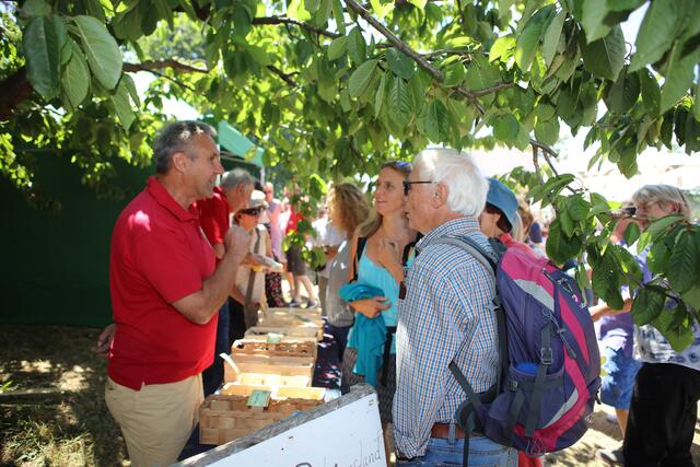 Foto: Andreas Unbehaun