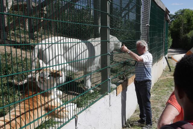 Pierre Thivillon mit weißem Tiger | Foto: Uwe Rahner