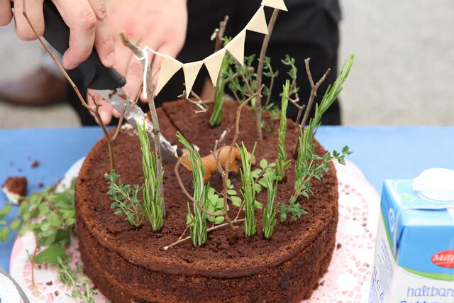 Auf der Geburtstagstorte hat sich ein Fuchs versteckt.
 | Foto: Andreas Unbehaun