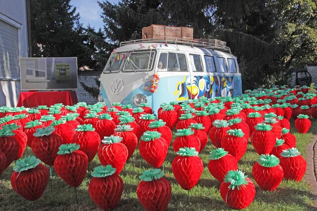 „Strawberry Fields” im Institutsgarten erinnerten an den vor 55 Jahren veröffentlichten Beatles-Hit. | Foto: Uwe Rahner