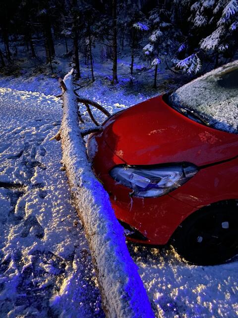Eine Autofahrerin konnte nicht mehr rechtzeitig bremsen und rutschte gegen einen umgestürzten Baum. Zum Glück ist nichts Schlimmeres passiert.  | Foto: FW Neunhof