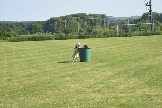 Foto: Sabine Büssert