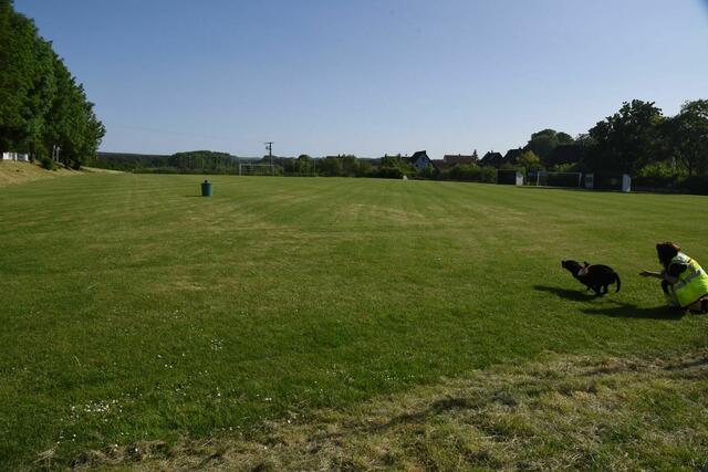 Foto: Sabine Büssert