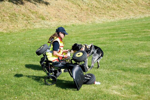 „Schwerer Verkehrsunfall“ mit vermisster Person: Mit Hilfe der feinen Hundenase wurde die am anderen Ende das Sportplatzes hinter einem Zelt versteckte Fahrerin aufgespürt. | Foto: Sabine Büssert