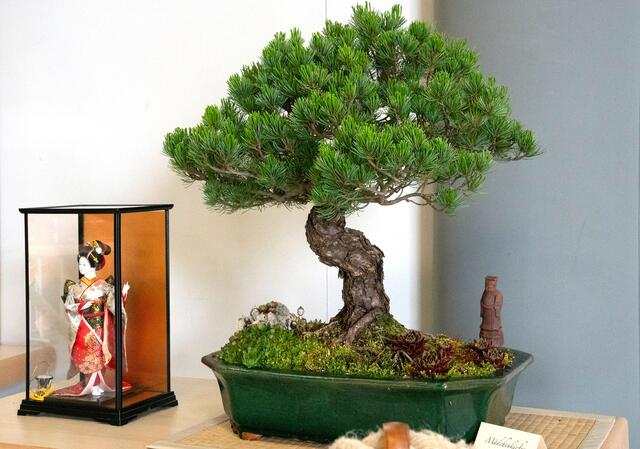 Foto: Foto: Georg Heck