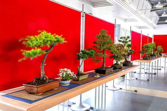 Foto: Foto: Georg Heck