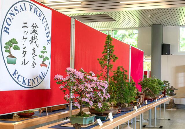 Foto: Foto: Georg Heck