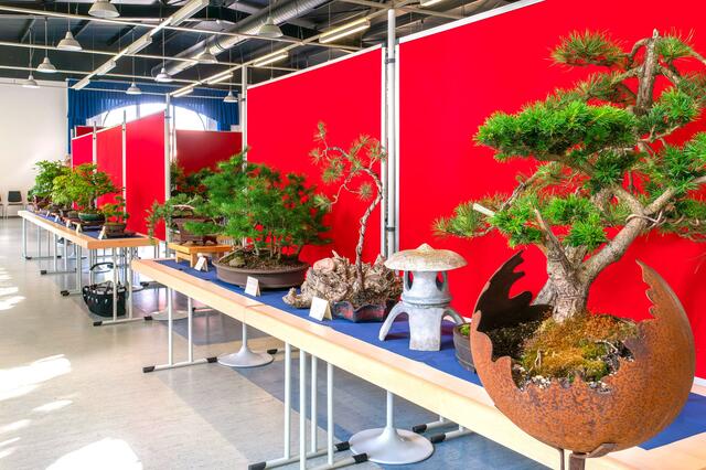 Foto: Foto: Georg Heck