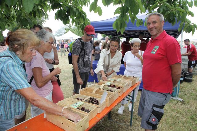 Sortenverkostung mit Fachberatung der „Kalchreuther Kirschgärten“. | Foto: Foto: Uwe Rahner