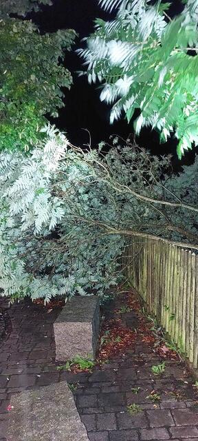 Foto: Feuerwehr Forth