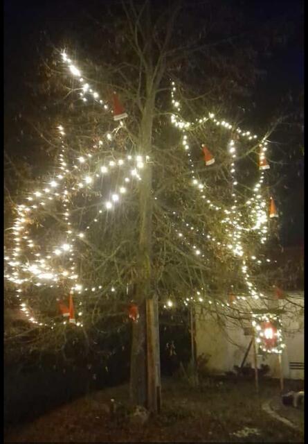 Wer braucht schon eine Tanne? Die Lettener schmücken ihre Linde - das ist sehr stimmungsvoll UND nachhaltig.  | Foto: Christa Zeißler