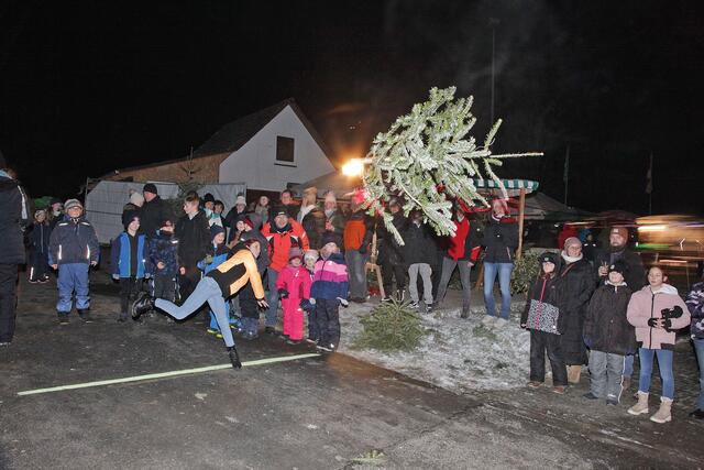 Voller Einsatz: Ein bisschen kürzer als Emil, aber ein Stück weiter als Felix schleuderte Jolie den Baum durch die Luft. | Foto: Uwe Rahner