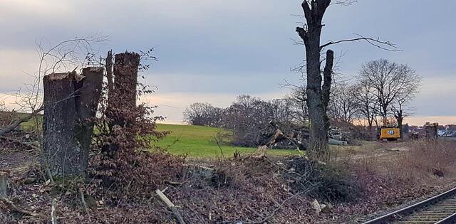 Foto: Familie Waldiger