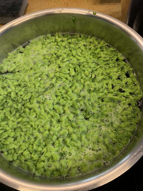 Foto: Katrin Häckel