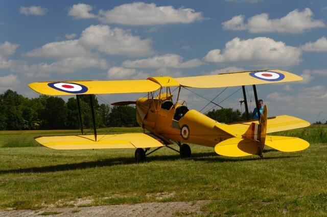 Tiger Moth
