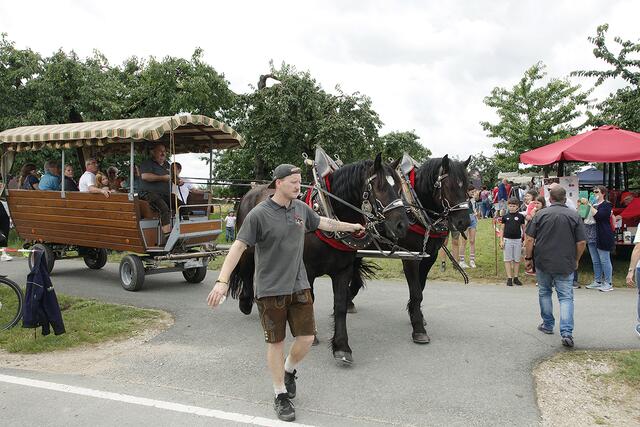 Die Gebrüder Bauer aus Höfles mit den prächtigen Zugpferden. | Foto: Uwe Rahner