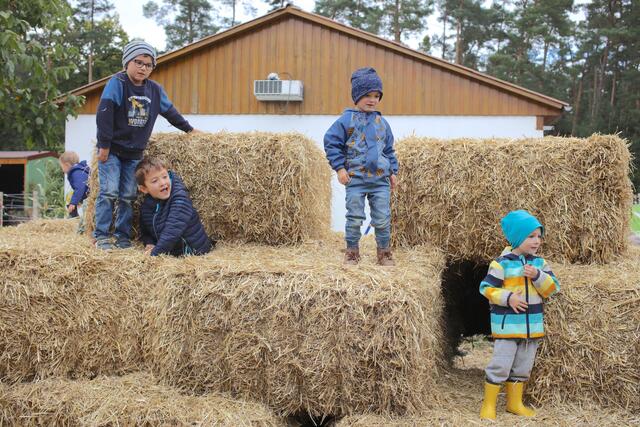 Auf den Heuballen durfte man nach Herzenslust toben. | Foto: Andreas Unbehaun