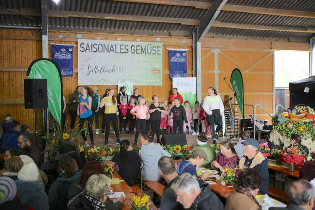 Auf der Bühne in der großen Halle präsentierten Tanzgruppen ihre Shows. | Foto: Andreas Unbehaun