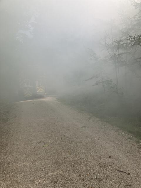 Mittels Nebelmaschinen wurde der Waldbrand so realitätsnah wie möglich simuliert. | Foto: Landratsamt ERH