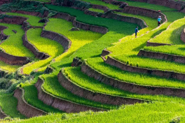 Vietnam | Foto: Klaus Fleischmann