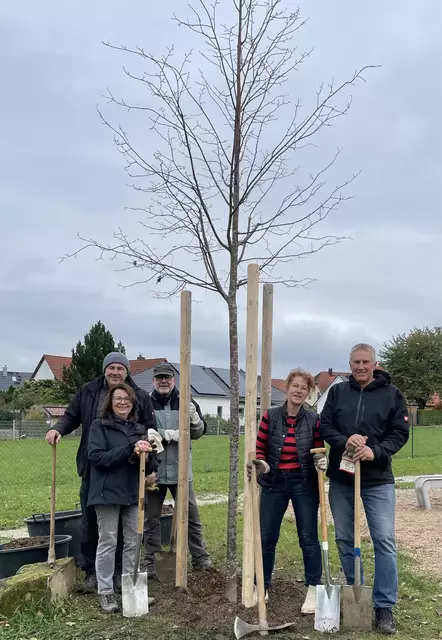 Schattenspendenden Baum am Spielplatz gepflanzt 2024 | Foto: AGENDA 21 Heroldsberg