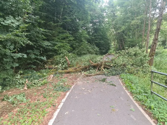 Foto: Feuerwehr Heroldsberg