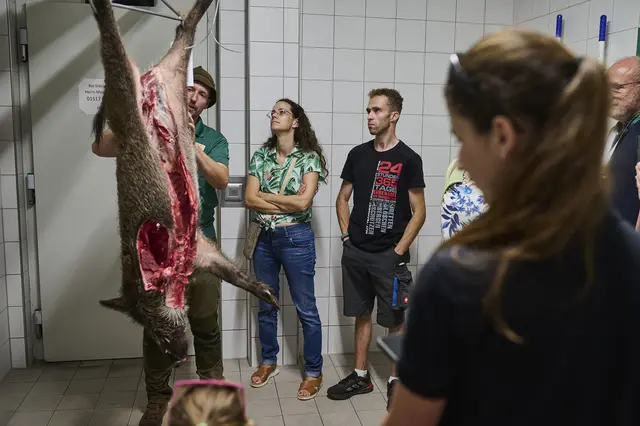 Wissen über Wildbret | Foto: David Häuser