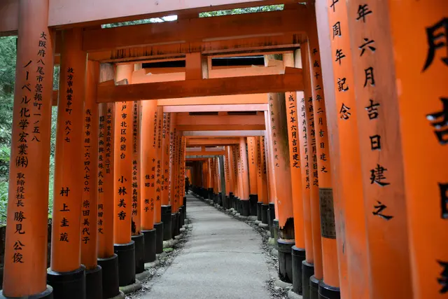 Japan, 2017 | Foto: Dr. Manfred Schildknecht (1945-2025)