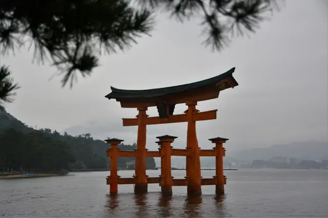 Auf Wiedersehen Japan = さようなら Sayonara! | Foto: Dr. Manfred Schildknecht