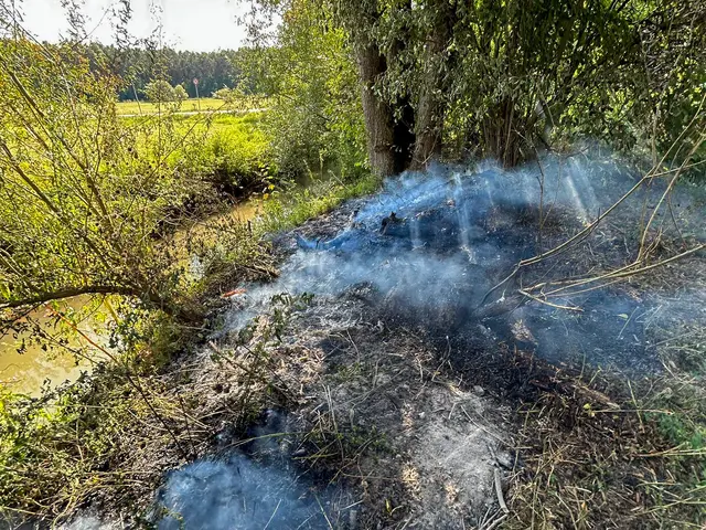 Foto: Feuerwehr Brand