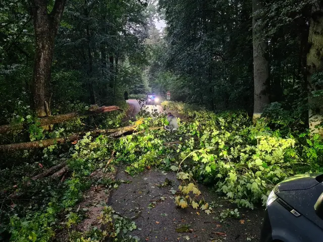 Foto: Feuerwehr Heroldsberg
