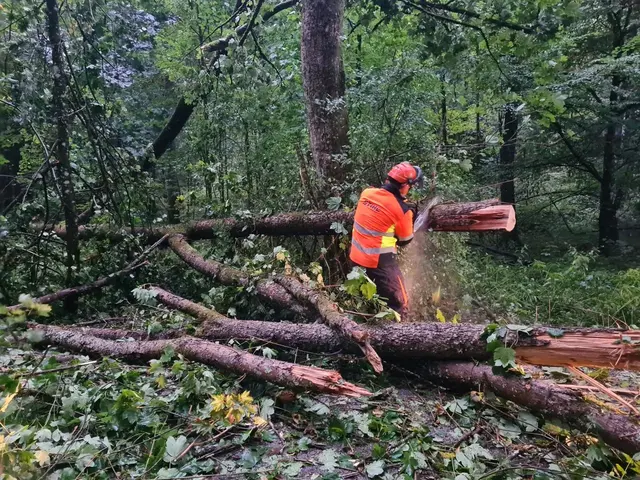 Foto: Feuerwehr Heroldsberg