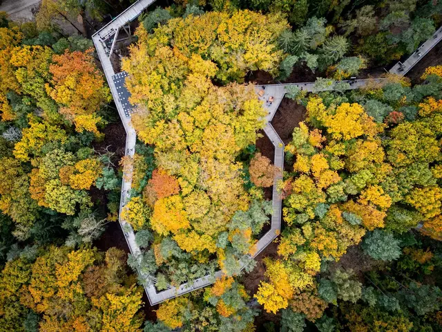 Foto: Thomas Hahn / Tiergarten Nürnberg