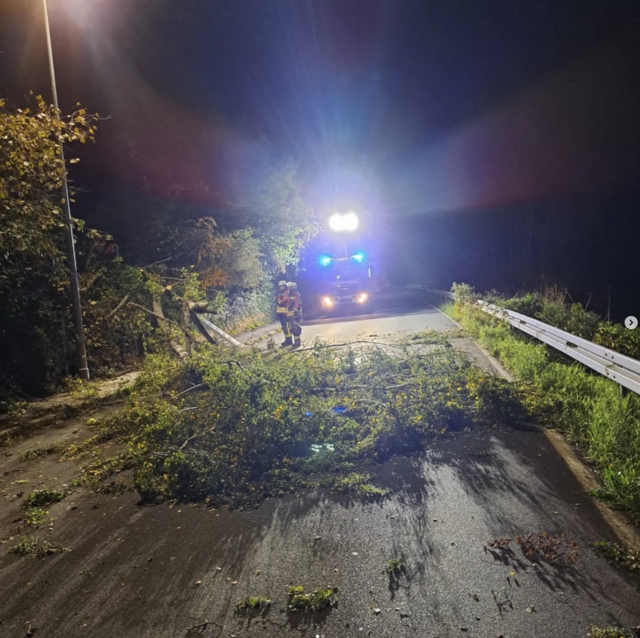 Foto:  Foto: Feuerwehr Eckenhaid