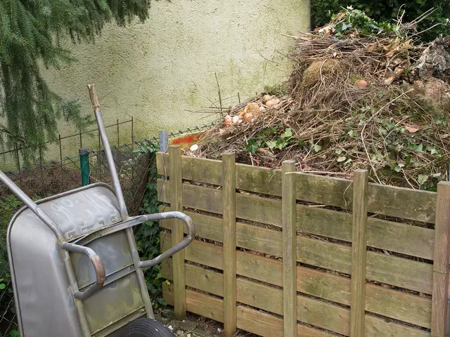 Kompost | Foto: Oliver Wittig