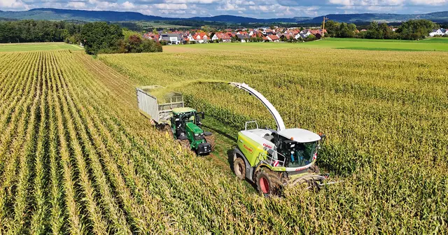 Maisernte zwischen Oberschöllenbach und Brand. | Foto: Sebastian Bock