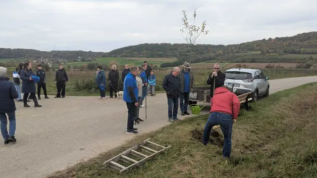 An der Bank zwischen Letten und Ermreuth steht seit heute dank der Lettener Dorfgruppe ein Apfelbaum. | Foto: Monika Finkes