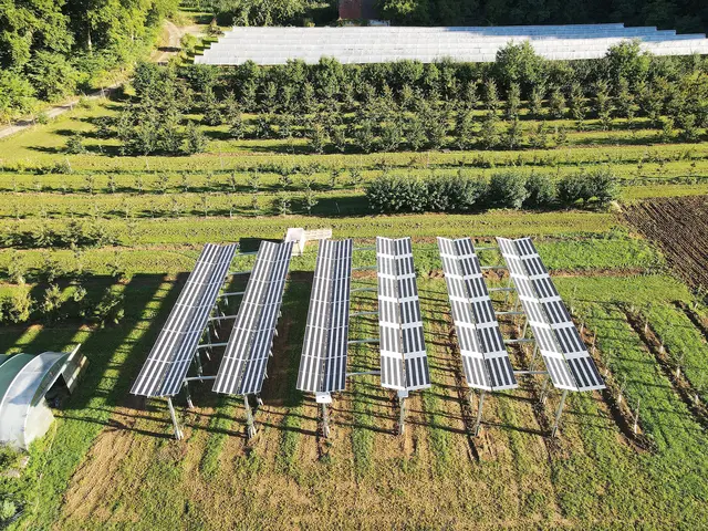 Die neue Agri-PV-Anlage im Obstinformationszentrum Fränkische Schweiz in Hiltpoltstein. | Foto: Privat