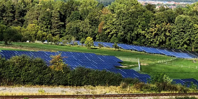 Östlich von Röckenhof hin zur Bahnlinie entstand eine Freiflächenphotovoltaikanlage auf einer Fläche von 4,7 Hektar. | Foto: Ernst Bayerlein