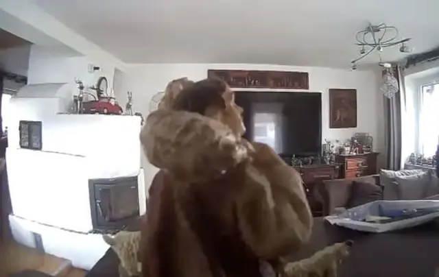 Dieses Bild aus einer Überwachungskamera erweckte den Eindruck, dass sich eine fremde Person im Wohnzimmer aufhält. Erst bei genauer Betrachtung erkennt man den Hirten mit dem Schaf, das er auf seinen Schultern trägt. | Foto: Privat