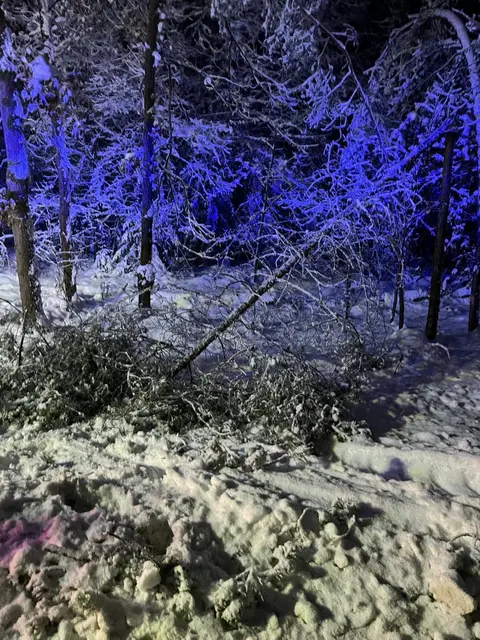 Foto: Feuerwehr Kalchreuth