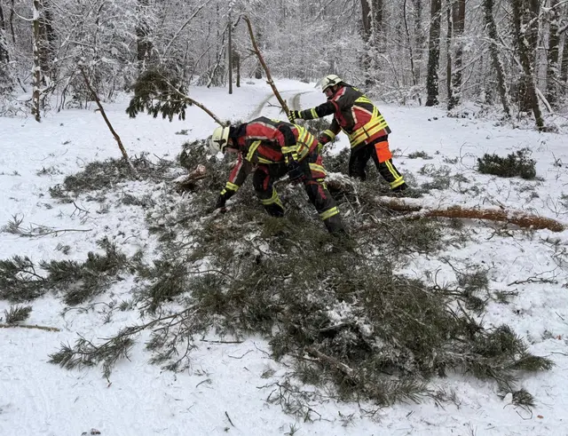 Derzeit geht von der Schneelast auf den Bäumen große Gefahr aus. Deshalb sind in der Region einige Straßen, die durch Waldgebiete führen, vorsorglich gesperrt. | Foto: Feuerwehr Eckenhaid