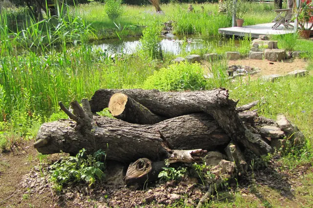 Totholz und Staudenschnitt locken viele Bodenlebewesen an, die z.B. Nahrung für Igel sind. | Foto: Birgit Helbig
