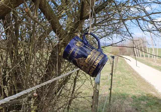 Pferdekoppel mit "Kunst am Busch": Becher vom Christkindlesmarkt  | Foto: Annegret Schildknecht 