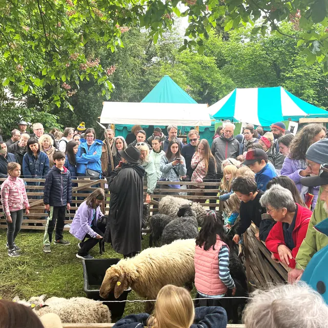 Schaf-Fest Garten Schäferin 2025  | Foto: Conny  Stotzner