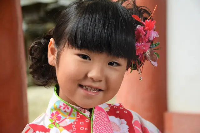 japanisches Mädchen im traditionellen Kimono mit Kirschblüten im Haar, Japan-Reise 2017 | Foto: Dr. Manfred Schildknecht (+Juli 2025)  