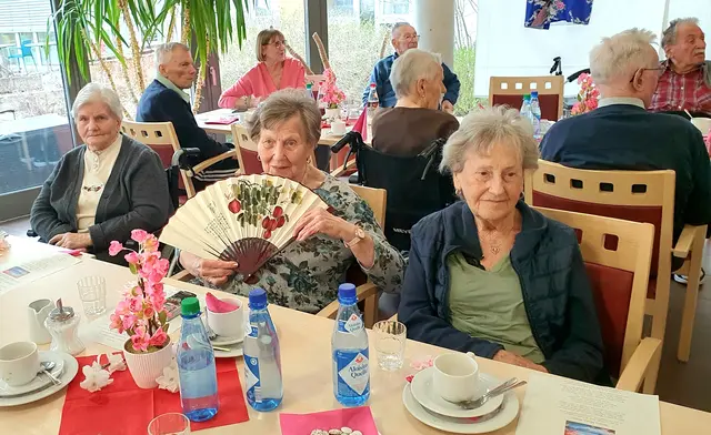 Kirschblütenfest: Japan trifft Fränkische Schweiz | Foto: Annegret Schildknecht 