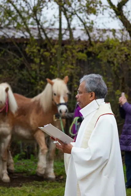 Foto: Tobias Ungerer