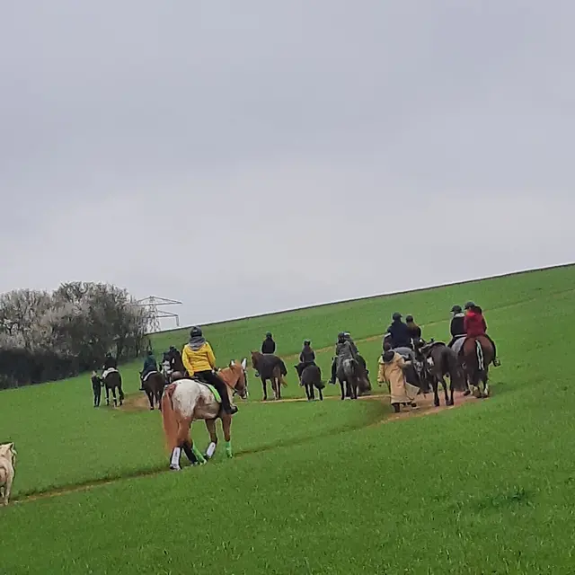 Foto: Tobias Ungerer